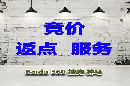 托管SEM竞价全解析：从入门到精通的实战案例